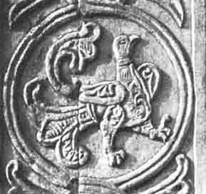 У этой неизвестной птицы хвост тоже как дерево.