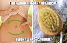 ГЕНЕРАЛЬНАЯ УБОРКА ОРГАНИЗМА