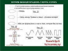 ✅ ИСТОРİА-НАСЛЕДİЕ ПРѢДКОВЪ. 3 КУРСЪ. 8 УРОКЪ. ТЕМА: РИТА – НЕБЕСНЫЕ ȤАКЪНЫ О...