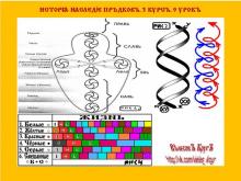 ✅ ИСТОРİА-НАСЛЕДİЕ ПРѢДКОВЪ. 3 КУРСЪ. 9 УРОКЪ. ТЕМА: РИТА – НЕБЕСНЫЕ ȤАКЪНЫ О...